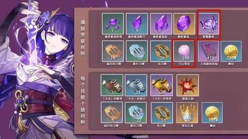 《原神》4.3雷电将军超绽放攻略：最强队伍搭配揭秘