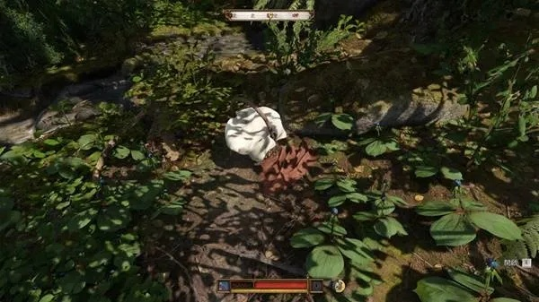 《天国拯救2》高效颠茄采集点攻略揭秘