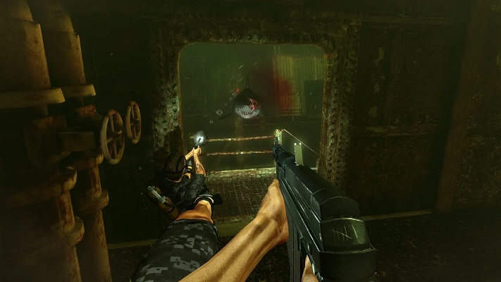 深渊惊悚射击，全新PC主机版惊悚来袭