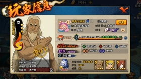 忍之道揭秘：剑舞巅峰，新篇启航