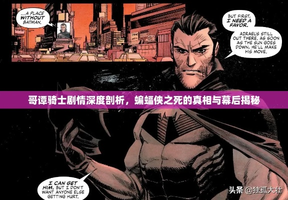 奥提斯堡探秘：哥谭骑士鸱科历史深度解析