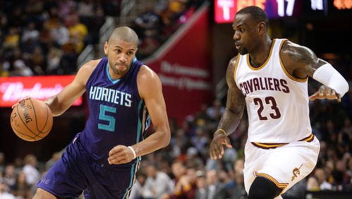 罗宾逊公园探秘：哥谭骑士鸱科历史深度解析