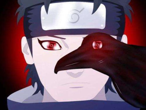 卡卡西生贺独家揭秘：忍者新世代巅峰对决