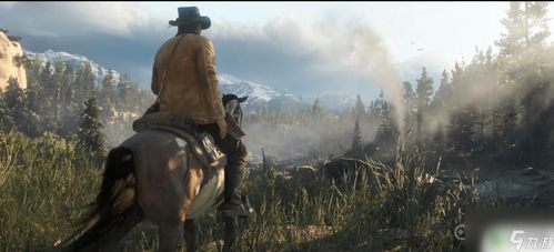 荒野寻宝攻略：解锁《荒野大镖客2》异宝新秘境