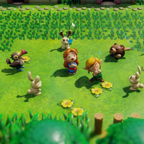 织梦岛奇遇记：揭秘不可思议森林神秘之旅