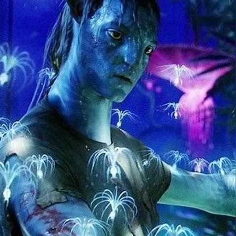 《阿凡达》评测揭秘：潘多拉边境体验值7.75分，沉浸式探险新高度