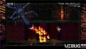 老戴冒险揭秘：神秘宝藏寻踪记