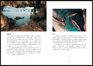 《伊始之地》评测：自然探索之旅，揭开神秘新篇章