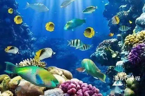 五一狂欢！《蛋仔派对》海底探险新篇章，畅游神秘海洋！