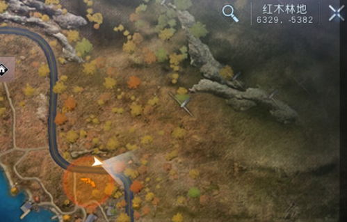 黎明觉醒：红木林宝藏图深度解析，探秘生机新篇章