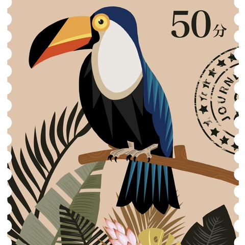 动物森林生存攻略：开局必备生存秘籍揭秘