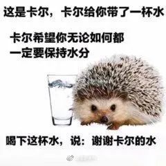 《风暴之城》评测：种田玩法升级，肉鸽体验再升华