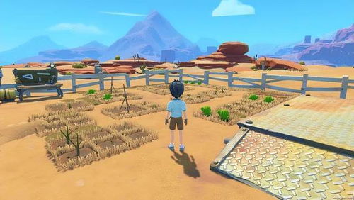 《沙石镇时光》评测：抢先揭秘新游戏独特魅力