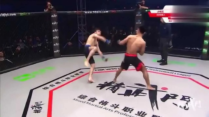 原班人马再聚首，无敌后桥摔新升级