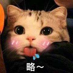 猫界巅峰体验！揭秘十大必玩猫咪游戏排行攻略