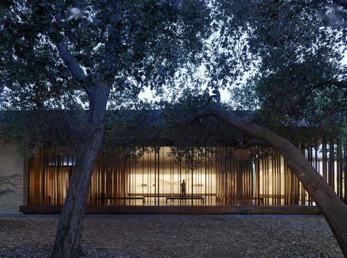 诗意互动，探索《Pyre》中玩家与艺术的桥梁