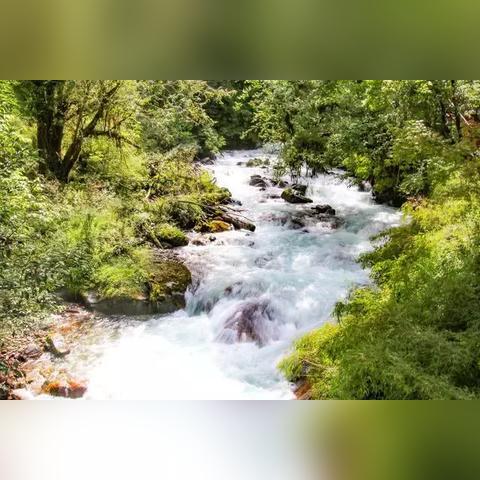 《领地人生：林中村落》评测升级，体验版亮点解析，深度体验新启航