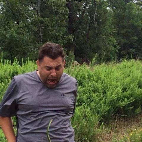 十大热门弹射游戏，人气必玩精选推荐