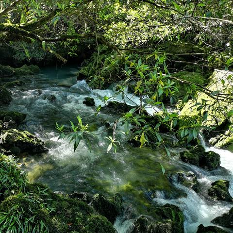 清新探险新体验，《洞穴》评测：小清新魅力无限