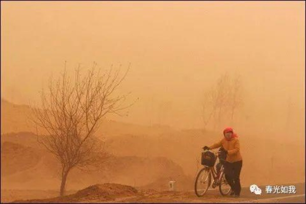 沙尘笼罩下的现代启示录：一线生机深度解析