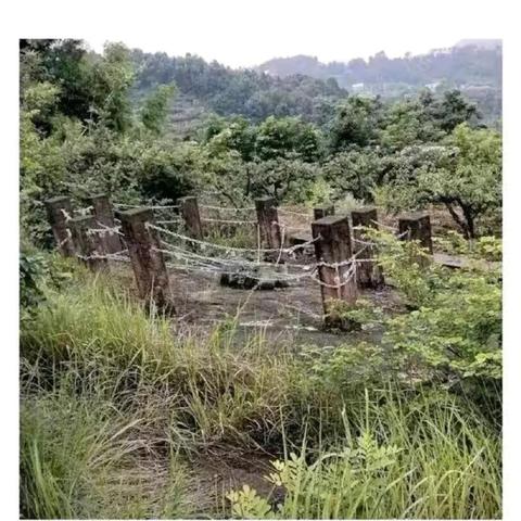 《遗迹2》多人模式BUG攻略：轻松跳过解谜，快速穿门！