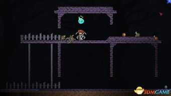 《泰拉瑞亚》圣诞狂欢！独家圣诞风格物品大揭秘