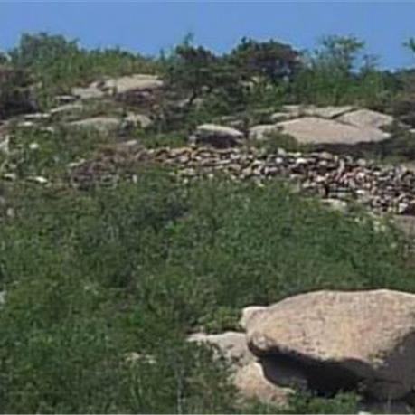 《龙石战争公测兑换码大放送！2025礼包码全收录》