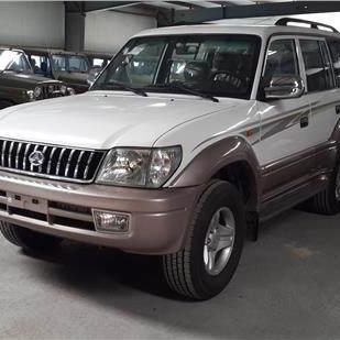 《狂野之心》不知火攻略：高效打法解析！