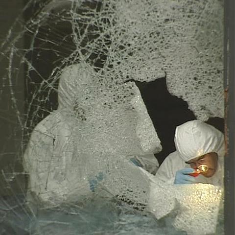 《黑手党3》揭秘：10大区域自由度攻略，畅游犯罪帝国！