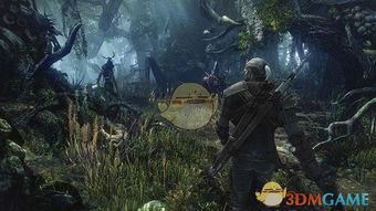 《巫师3》挑战智商：非数值难度解析攻略