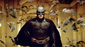 《布鲁斯·韦恩：蝙蝠侠背后的神秘英雄》