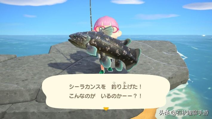《动物森友会》5月必抓鱼种盘点！图鉴揭秘！