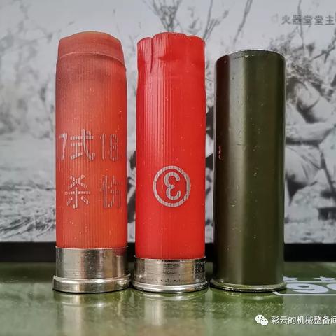 霰弹枪绝技搭配攻略：弹壳特攻队新战术解析