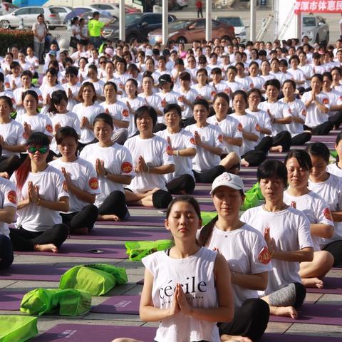 精选政治模拟游戏，领略策略新境界