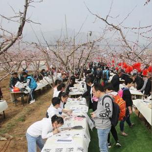 十大经典漫步游戏盘点：探寻最佳休闲体验