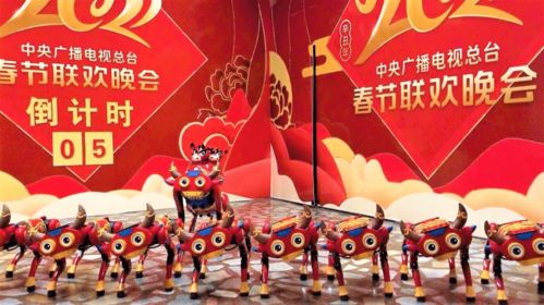 宇树机器人春晚意外:误触急停按键