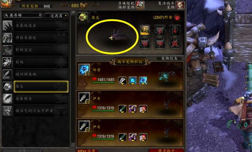 热门游戏盘点：揭秘收集狂热者的最爱排行榜