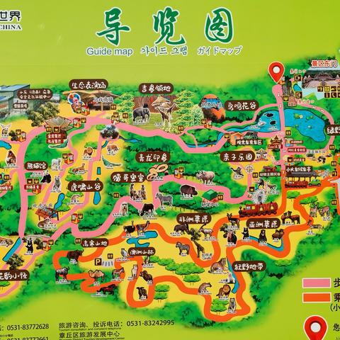 《动物园之星》生涯攻略：全程解说，揭秘成功秘诀