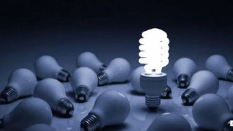 十大经典反应游戏盘点：揭秘热门互动娱乐新趋势