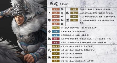 《三国志14》赵正：被误解的占卜大师，揭秘真实实力！
