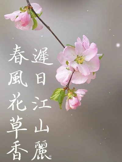 迟日江山美景如画，春风花草香满园
