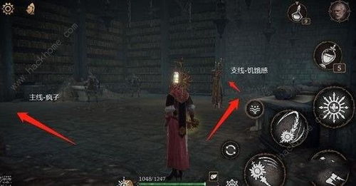 帕斯卡契约深度解析：地下溶洞全攻略秘籍大公开