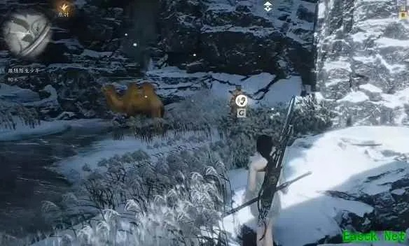 《揭秘！凉州万事知焚骨谶局攻略,轻松完成燕云十六声挑战》