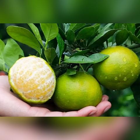 《地下城3》DLC新挑战：丛林女皇等你征服！