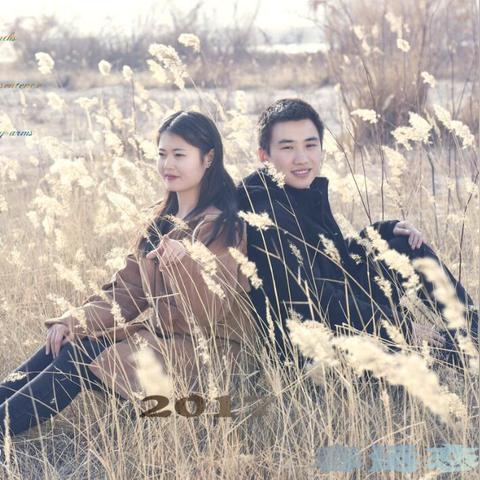 《崩坏星穹铁道》白露突破必备：材料清单大揭秘