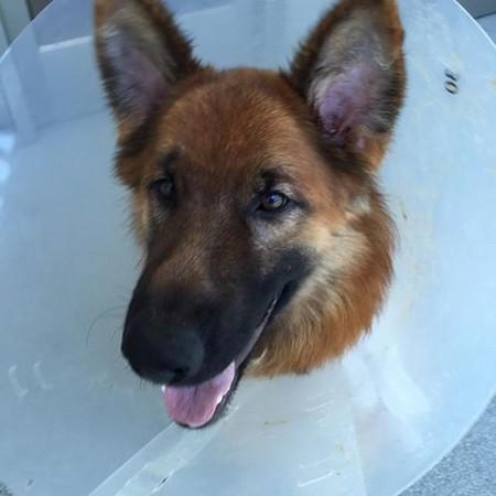 《脱逃者2》全流程攻略：高效通关秘籍大公开