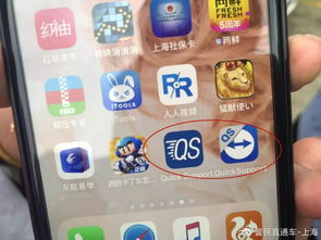 弹力果冻新手攻略：高效配队与资源管理秘籍