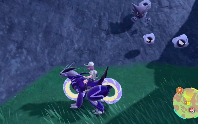 《宝可梦朱紫》烛光灵夜骷髅刷闪秘境，天蝎野餐闪点攻略！