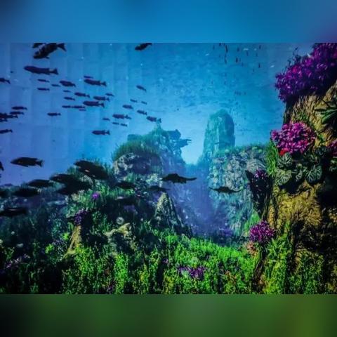 十大水底游戏盘点：揭秘沉浸式海洋冒险新体验