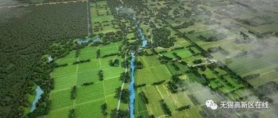 揭秘多洛可小镇:作物加工利润背后的惊人秘密！